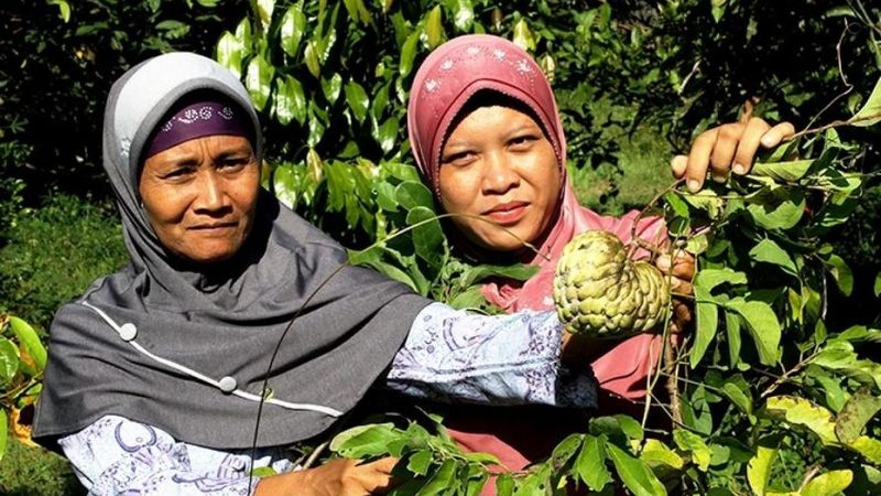 不锈钢板切割下料设备：价格背后的考量因素**